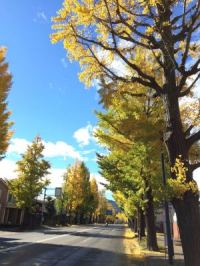 八王子市内甲州街道。多摩御陵入り口付近から高尾方面を望む。